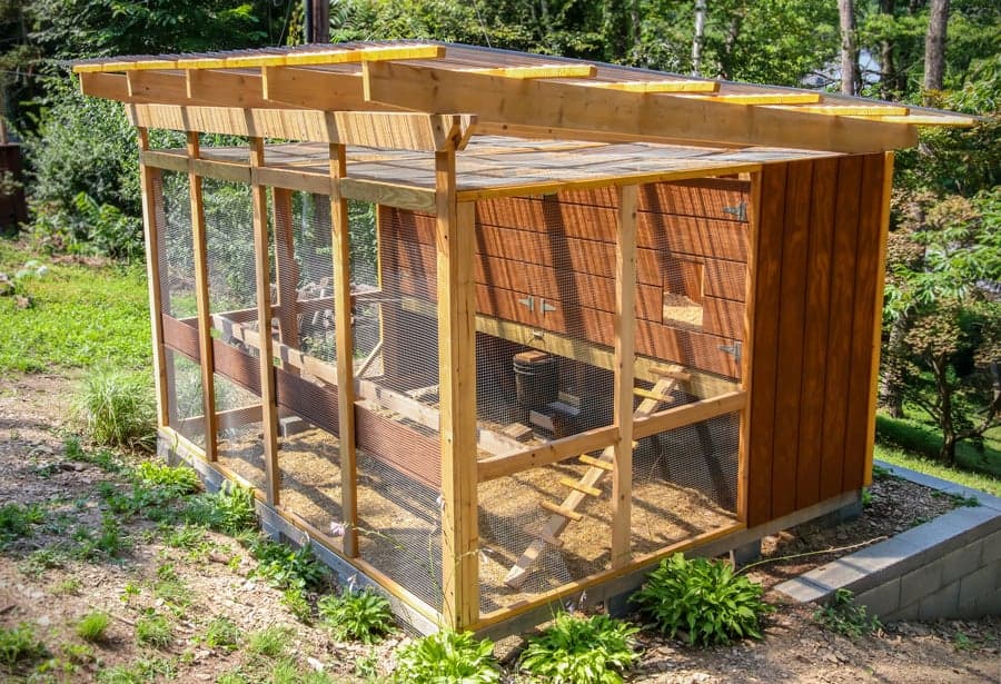 8 Chicken Coop Design Features That Make Daily Care Easier
