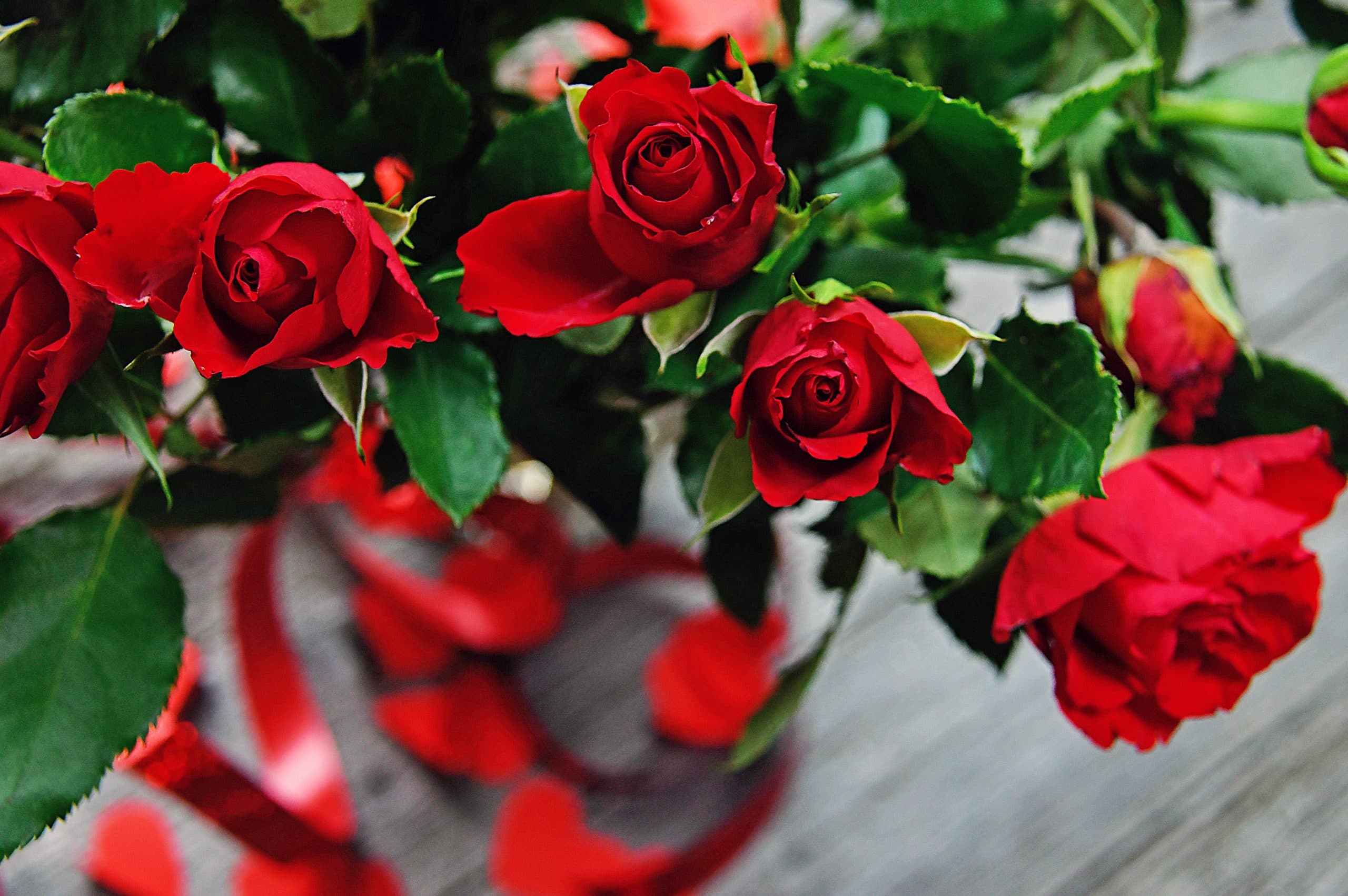 Soon, It Will be Valentine’s Day: The Story Behind the World's Most Romantic Day