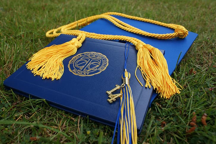 Ten Ways to Qualify for the Most Sought-After Scholarship Programs in Florida
