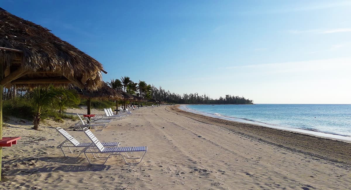 Grand Bahama Bouncing Back After Dorian