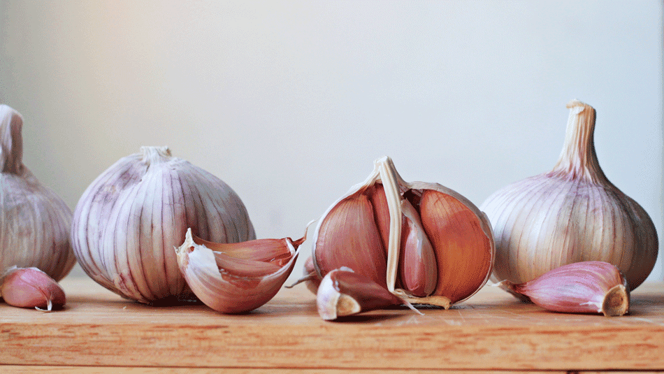 Garlic: A Healing Spice