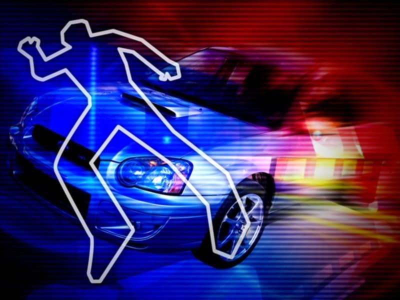 Pedestrian killed in Miami hit and run