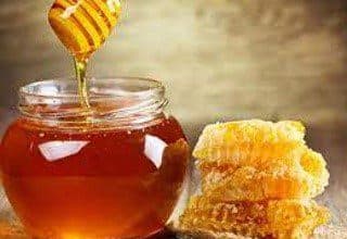 St. Lucia seeking to develop overseas markets for honey