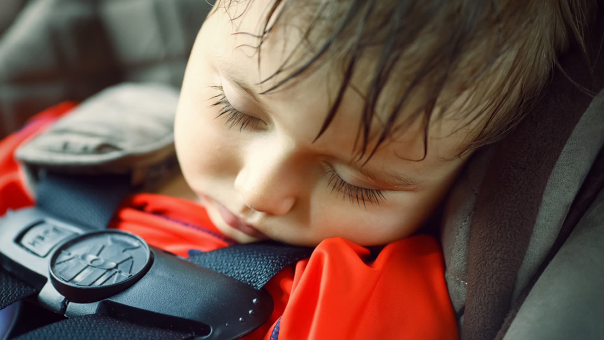 Legislation being tabled to prevent hot car deaths