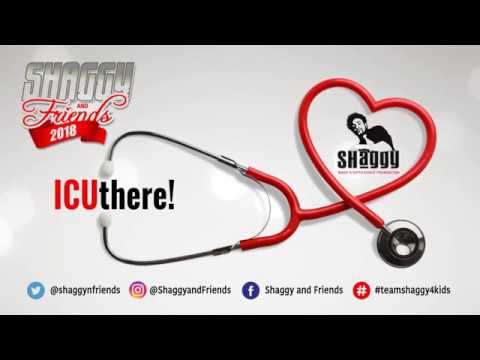 Sixth annual Shaggy & Friends charity concert set for January 6th