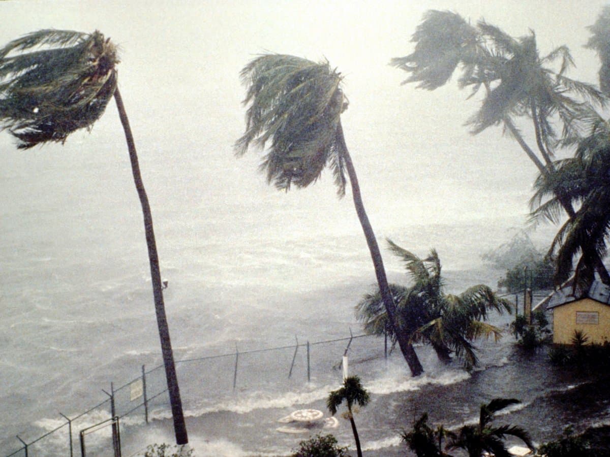 Six hurricanes, 12 storms expected this season