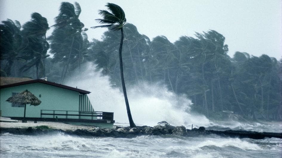 Above average hurricane season predicted