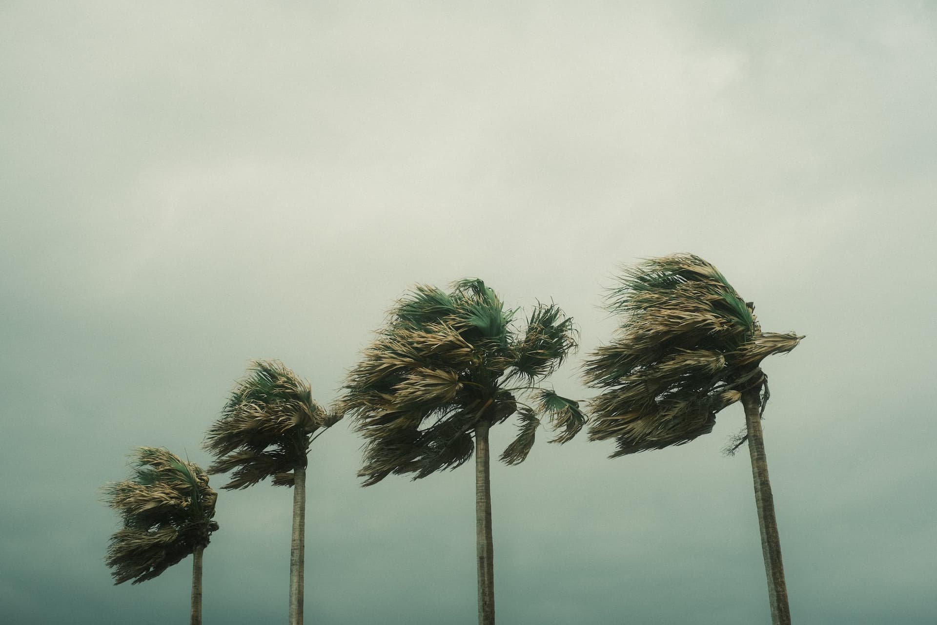 Jamaica establishes disaster management committee following Hurricane Beryl