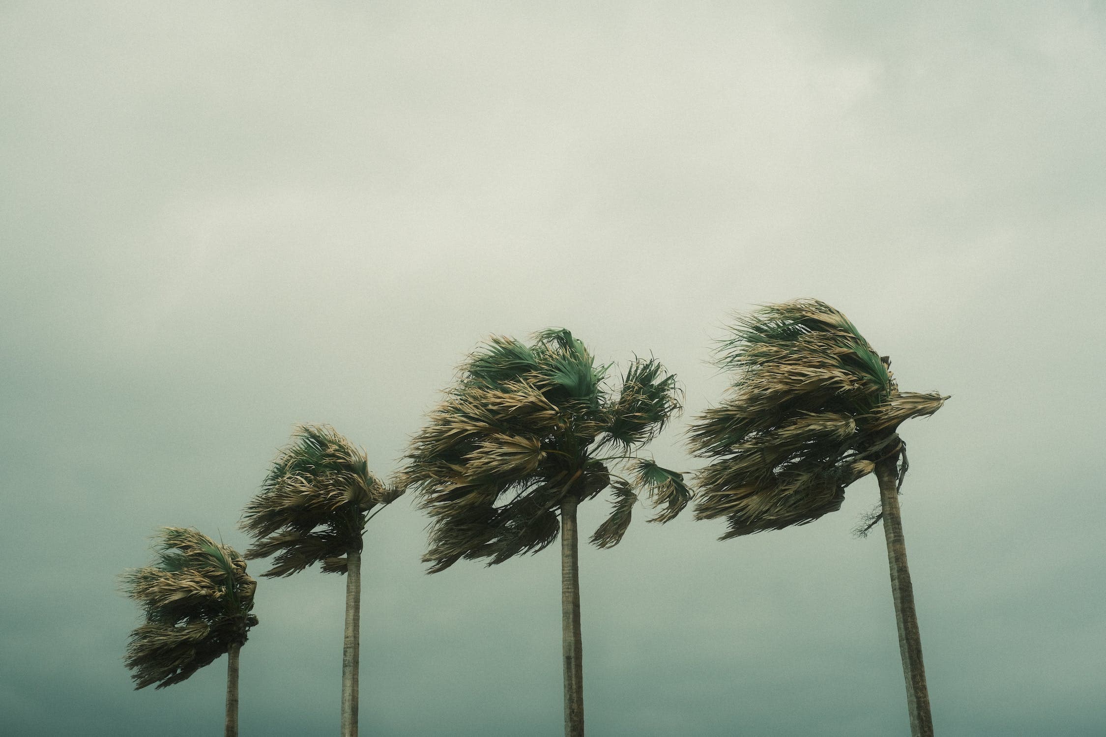 Jamaica establishes disaster management committee following Hurricane Beryl