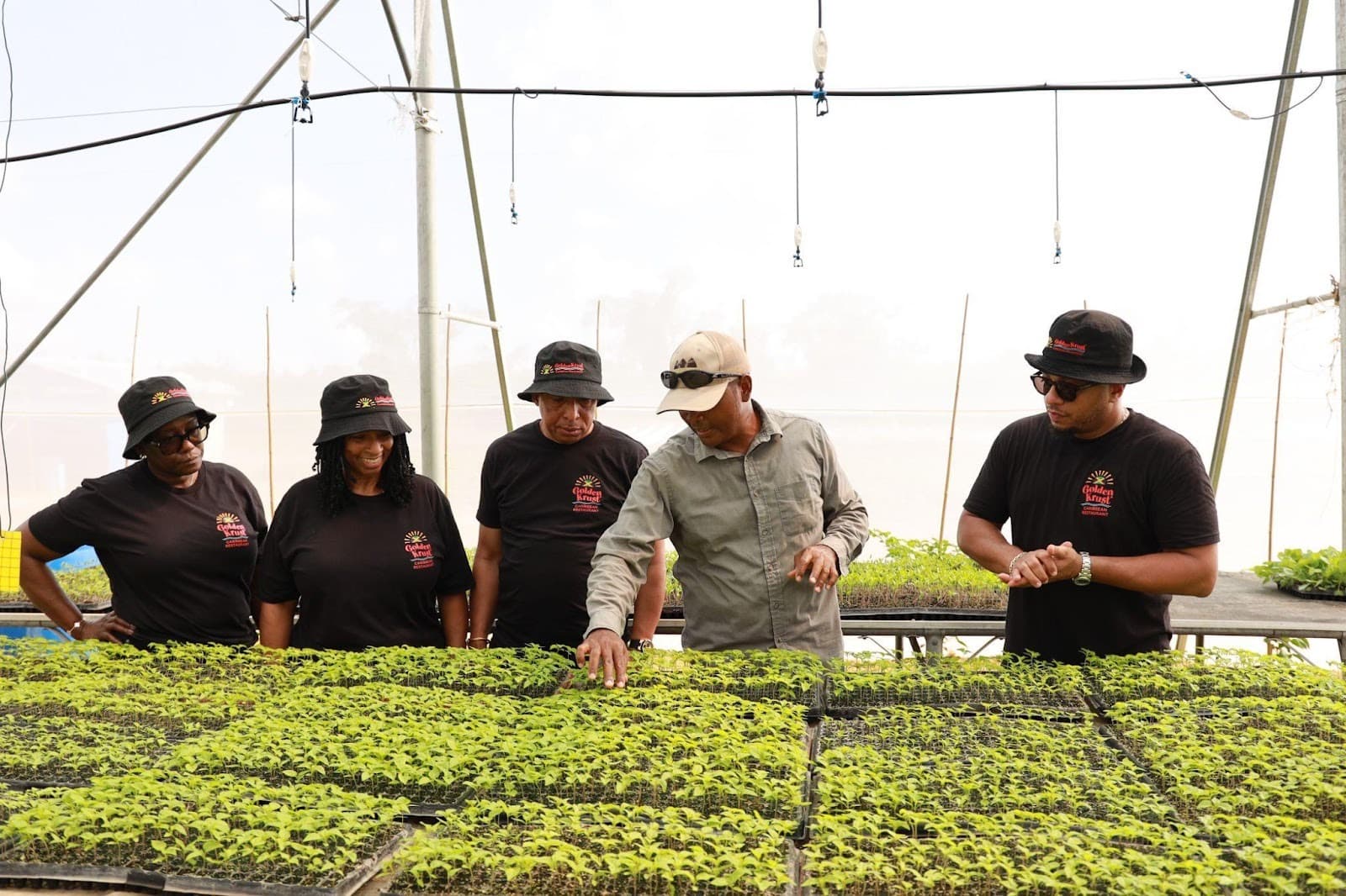 Golden Krust steps in with J$3M to aid Jamaican farmers after Hurricane Melissa