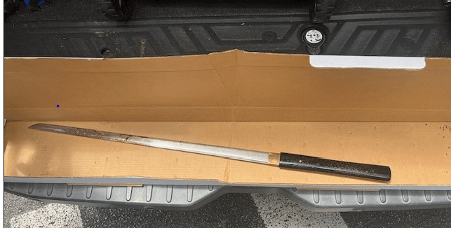 Palm Beach County Sheriff’s deputy shoots and kills man stabbing his father