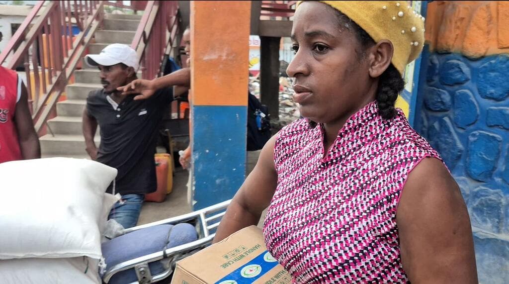 Haiti launches dog vaccination drive following rabies deaths