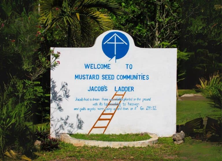 Haitian caregivers came to Jamaica under "false pretense,' says minister