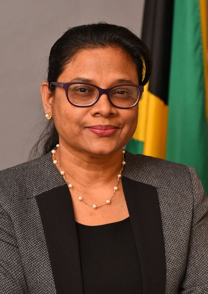 Diaspora Gives US$300 Million Boost to Jamaica’s Healthcare Sector