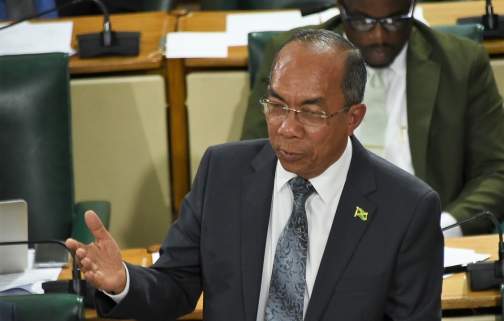 Diaspora Groups "Disappointed" by Horace Chang's Recent Remarks About Crime