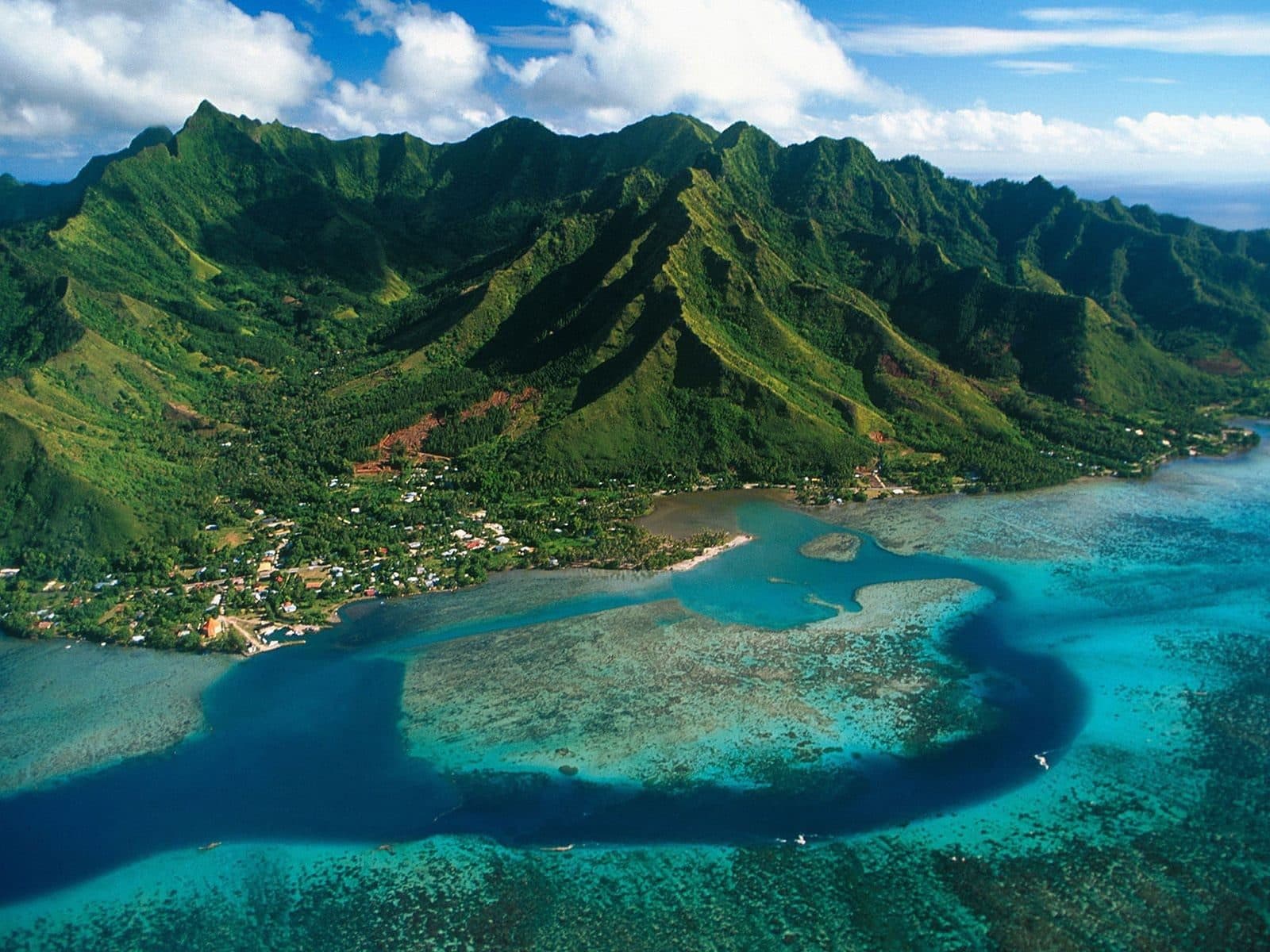 Jamaica: Land of wood and water — but for how much longer?