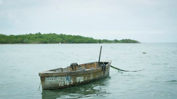 ACLU Sues US Coast Guard Over Alleged Detention and Abuse of 4 Jamaican Fishermen