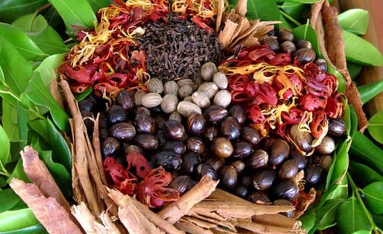 Grenada nutmeg gets US Food and Drug Administration approval