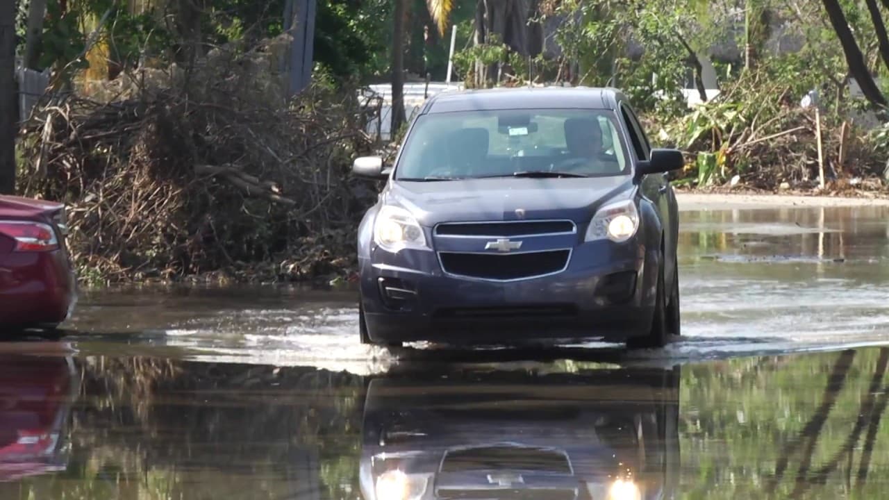 Miami prepare for King Tide Season