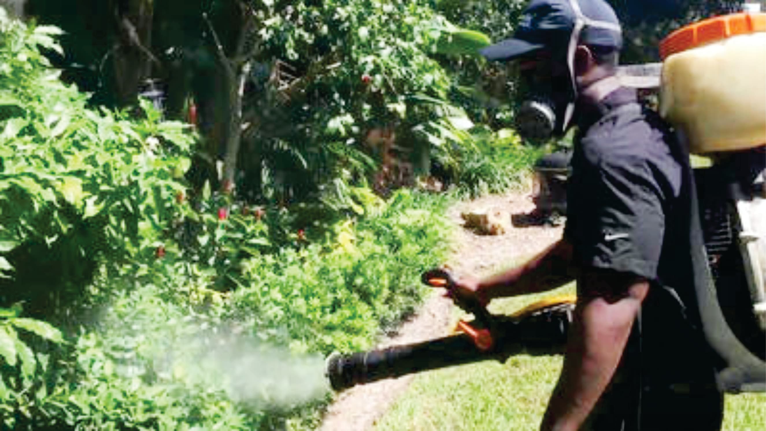 Dania Beach, Lauderhill and Ft. Lauderdale to be sprayed for mosquito larvae