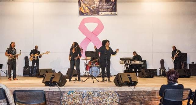 Music in the Park Concert Draws Hundreds of Attendees