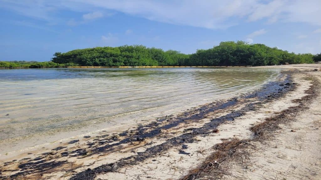 Tobago oil spill reaches Bonaire’s shores