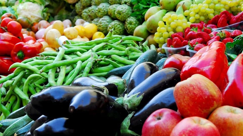 Urgent call for food system overhaul in CARICOM nations