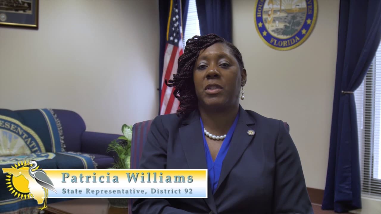 Florida Representative Patricia Williams Appointed to Florida Children and Youth Cabinet