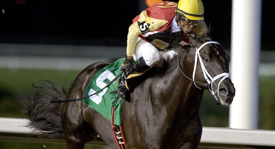 Caribbean Riders Set for Woodbine Spotlight after Government Eases Restrictions