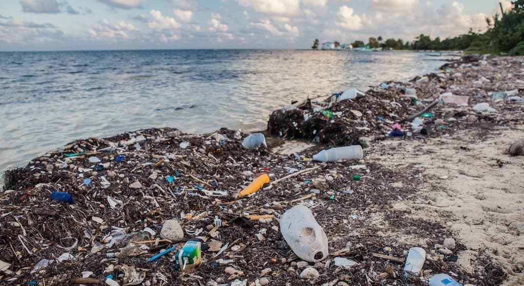 The Caribbean begins to address plastic pollution
