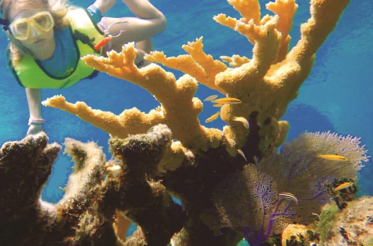 Bahamian Organisation Wins Global Film Award for Transforming Society