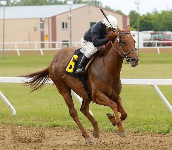 Jamaican Jockey Richard Mairs Logs Triple at Canadian track