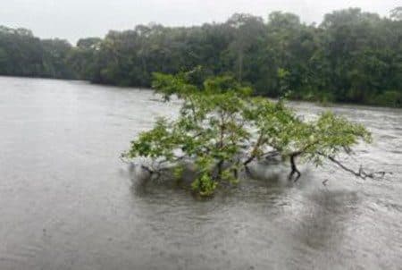 Body of missing American tourist found in Guyana river