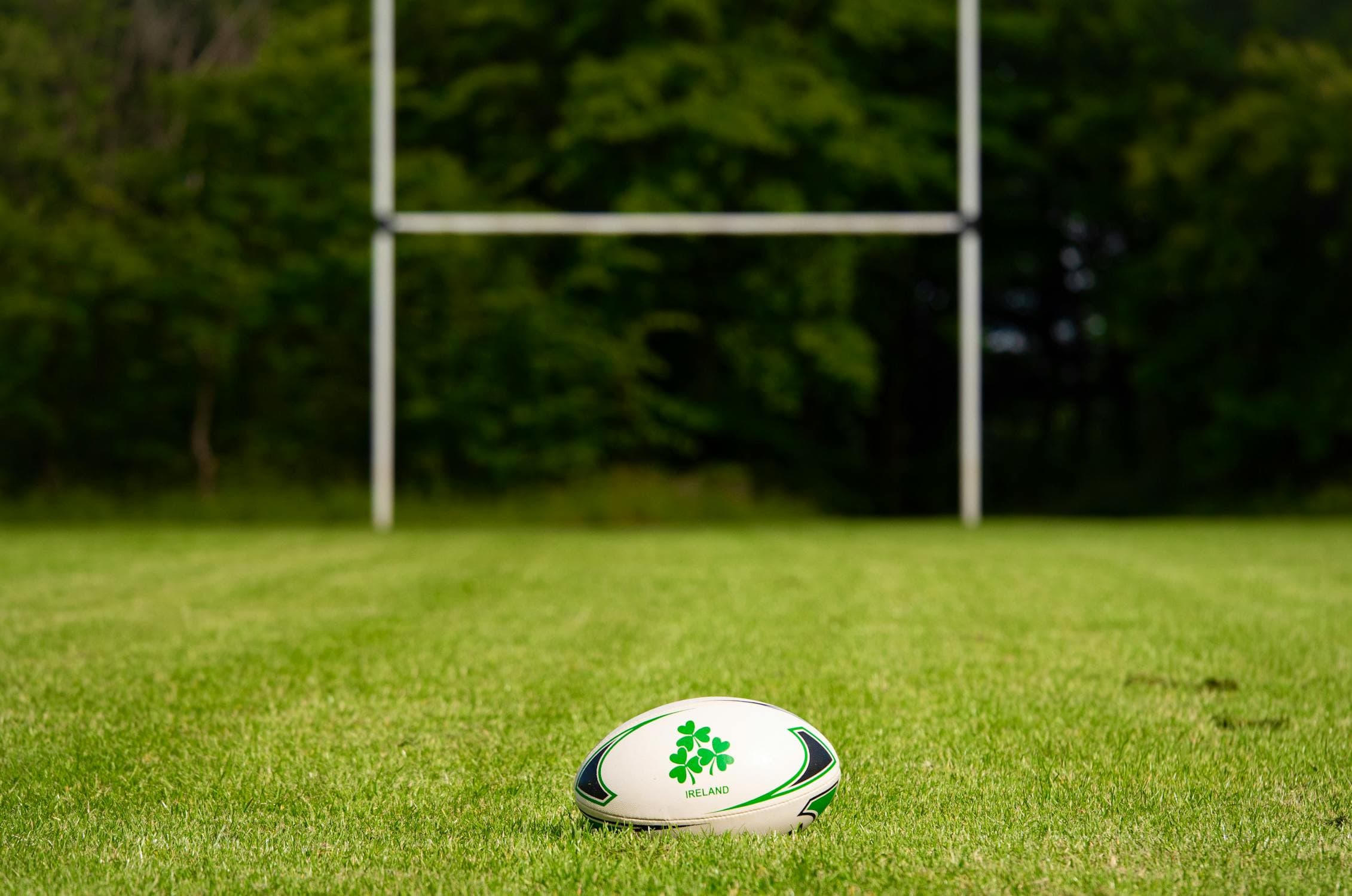 Jamaica's rugby team shines in return to Test arena with win over Bermuda