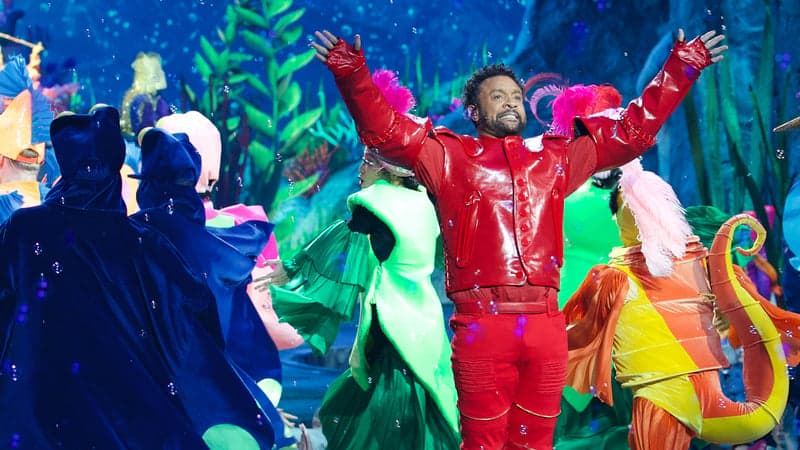 Shaggy to Donate 'Little Mermaid: Live' Earnings to Bustamante Hospital for Children