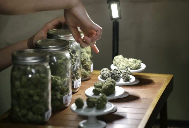 Implementation of Florida’s medical marijuana law could be slow