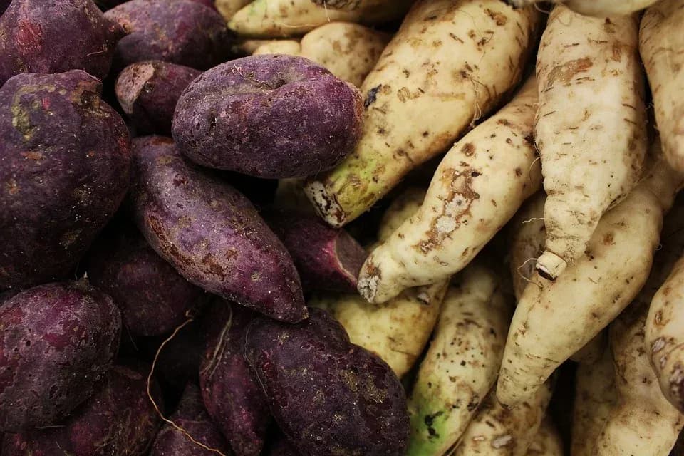 Ground provision - a staple of Jamaican cuisine