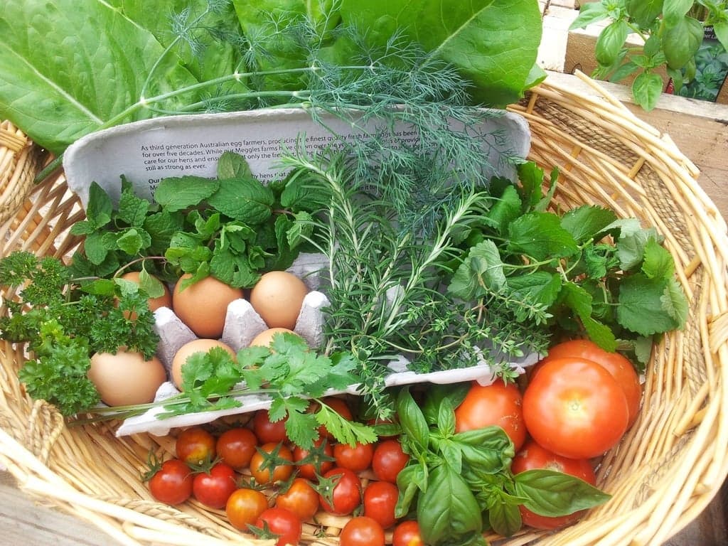 Op-ed | Why Agriculture is Key to Caribbean's Post-Covid Tourism Sector