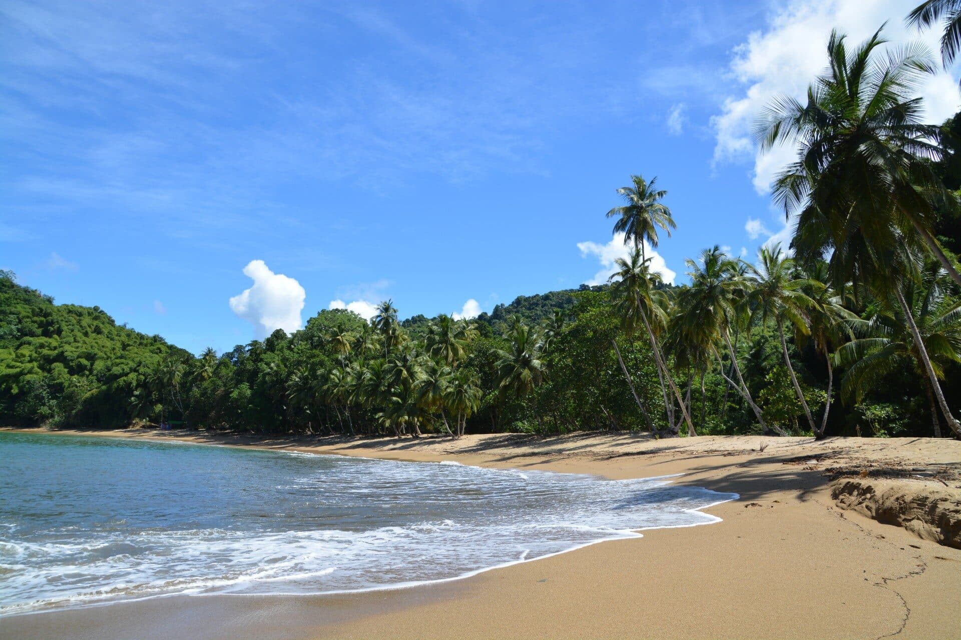 British man attacked by shark in Tobago waters