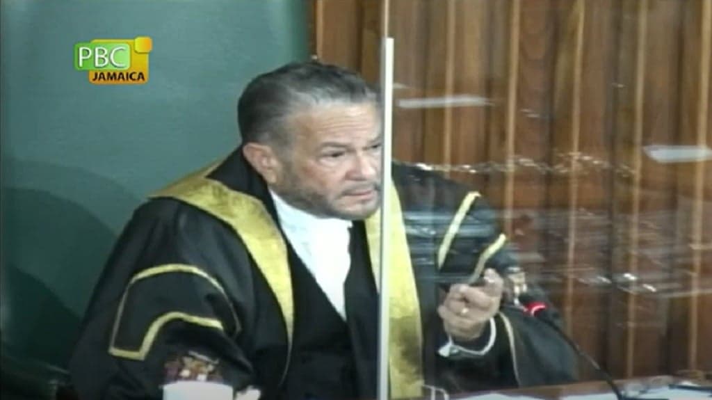 PNP Members Have Put Jamaica "In Grave Danger" Says Senate Leader