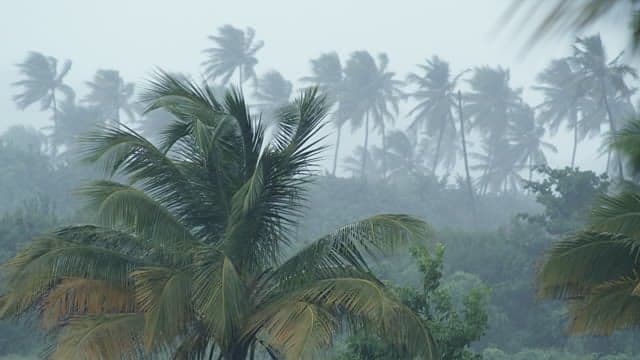 Caribbean Countries Warned Rainfall “Deficit” Still Possible Despite Wet Season