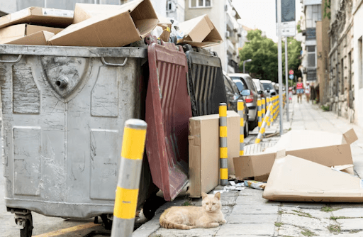 Why Do Contractors Always Rely On Roll Off Dumpster Rentals?