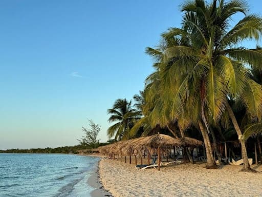 Caribbean Americans keep getting targeted by offshore betting sites that look local