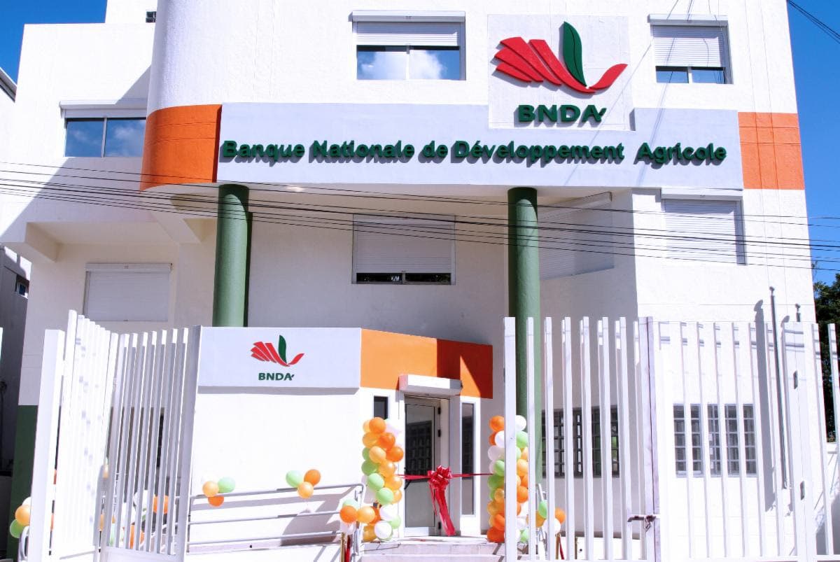 CDB Supports Haiti’s Agricultural Bank with Strategic Plan to Boost Rural Finance and Food Security