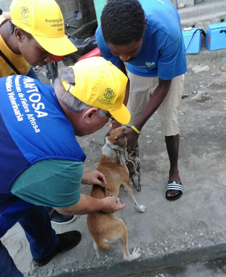 Rabies Elimination in Haiti: Dog Vaccination ampaign Launched