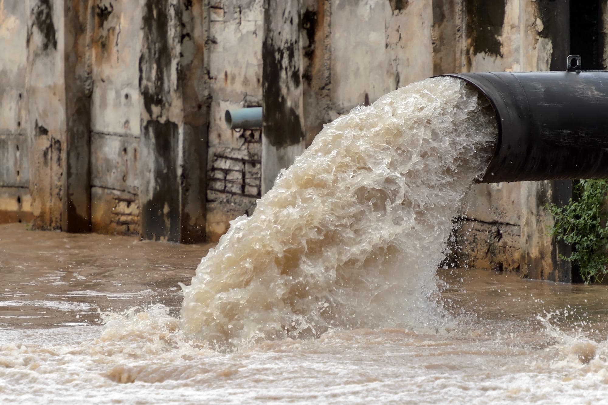 The Nature Conservancy to launch wastewater awareness campaign in the Caribbean