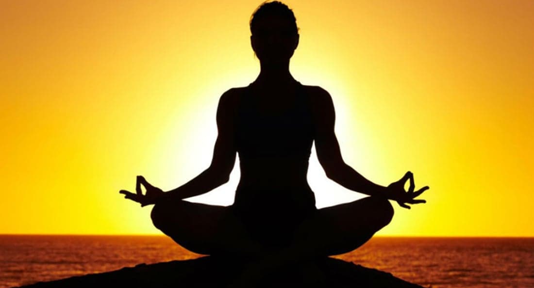 The influence of nutrient research on modern wellness communication