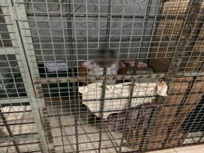 Police Crack “Biggest Human Trafficking” Ring in Trinidad and Tobago