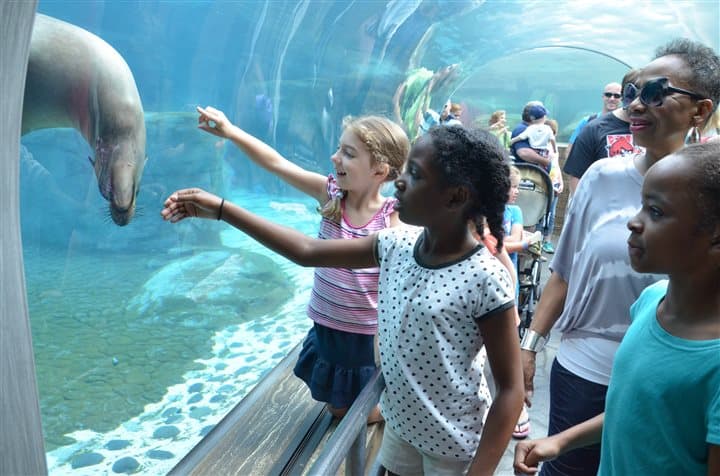 Get adventurous before busy fall routines set in