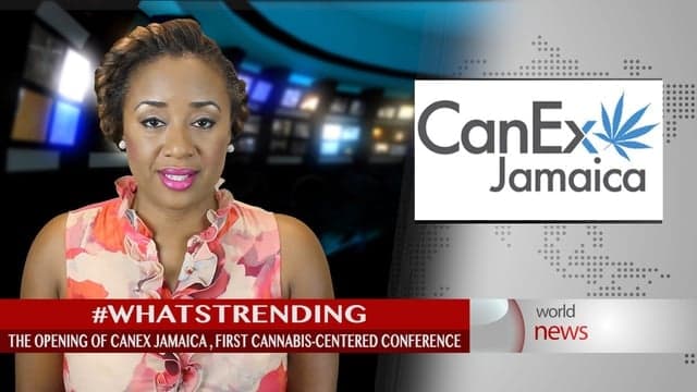 JA Toursim Minister explores cannabis-infused tourism